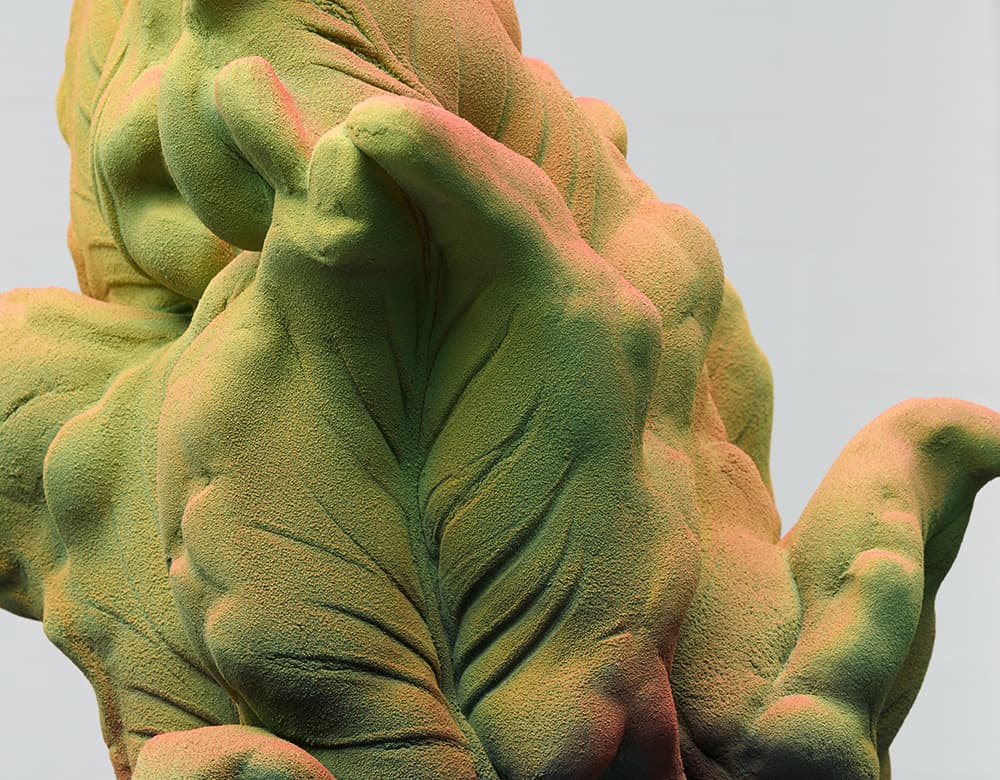 7 финалистов премии LOEWE FOUNDATION Craft Prize 2023: Клэр Линднер