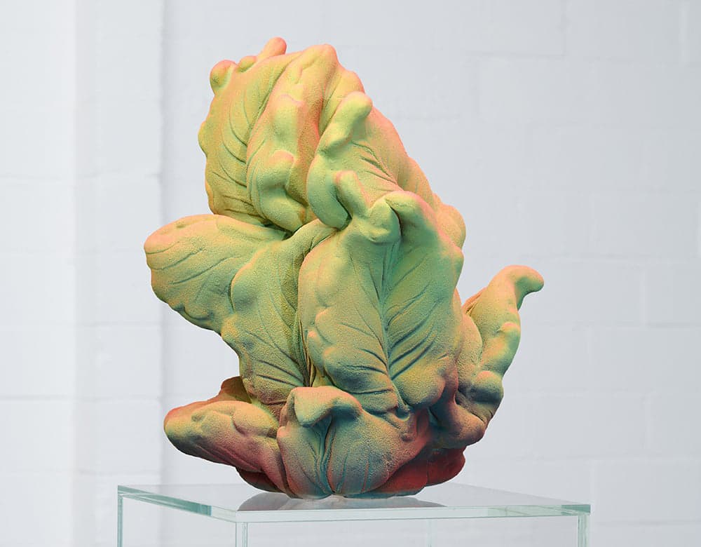 7 финалистов премии LOEWE FOUNDATION Craft Prize 2023: Клэр Линднер