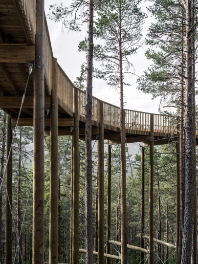 Архитекторы EFFEKT предлагают прогуляться на одном уровне с кронами деревьев