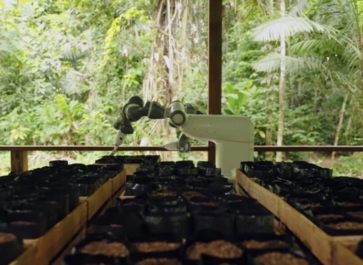 YuMi — робот, который помогает восстанавливать леса Амазонии