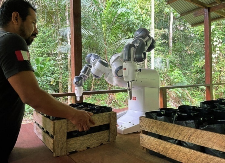 YuMi — робот, который помогает восстанавливать леса Амазонии